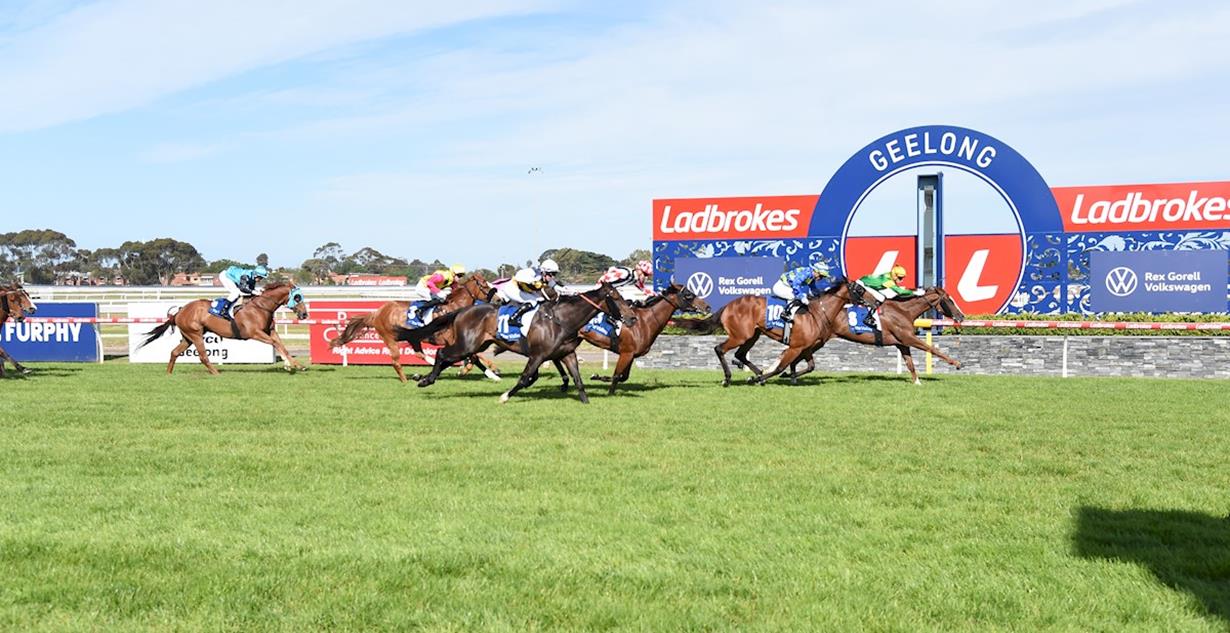 Regal Tycoon - Geelong 14th November 2025